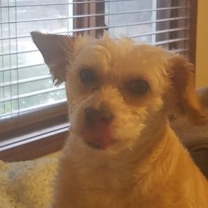 Meet your Posher, Janell